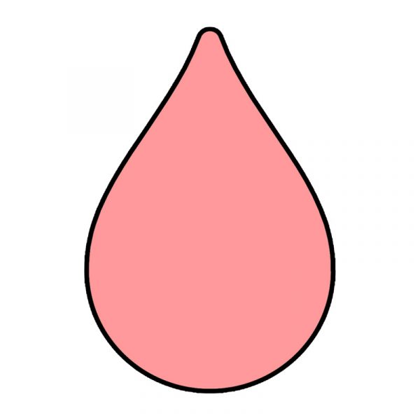 modla za medenjake maturska kap