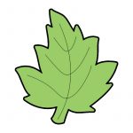 modla za medenjake list