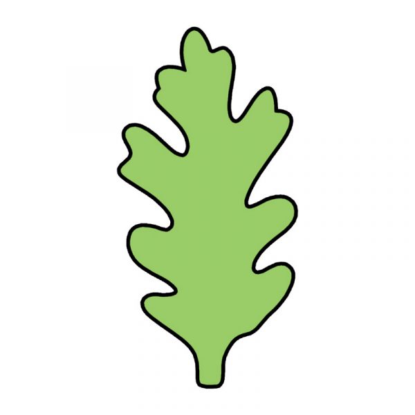 modla za medenjake list