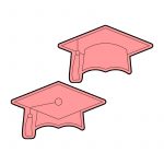 modla za medenjake maturska kapa