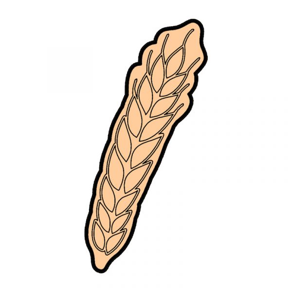 modla zito za slavski kolac