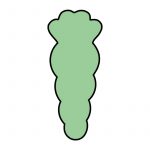 modla za medenjake sargarepa