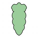 modla za medenjake sargarepa