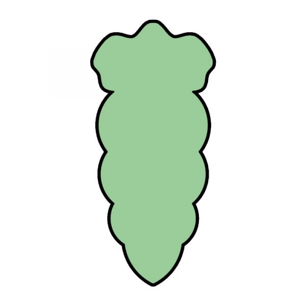 modla za medenjake sargarepa