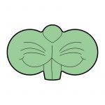 modla za medenjake zec