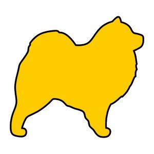 modla za kolače Pas