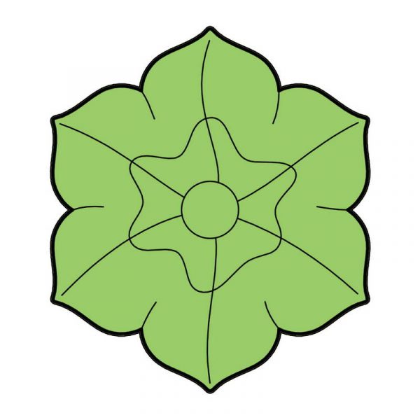 PR 1228 Cvet narcis - Slika 1