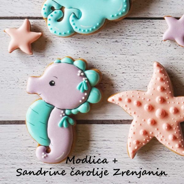 Morski konjić - Slika 2