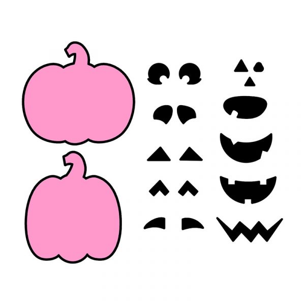 ZU 5022 Bundeve SET - Slika 1